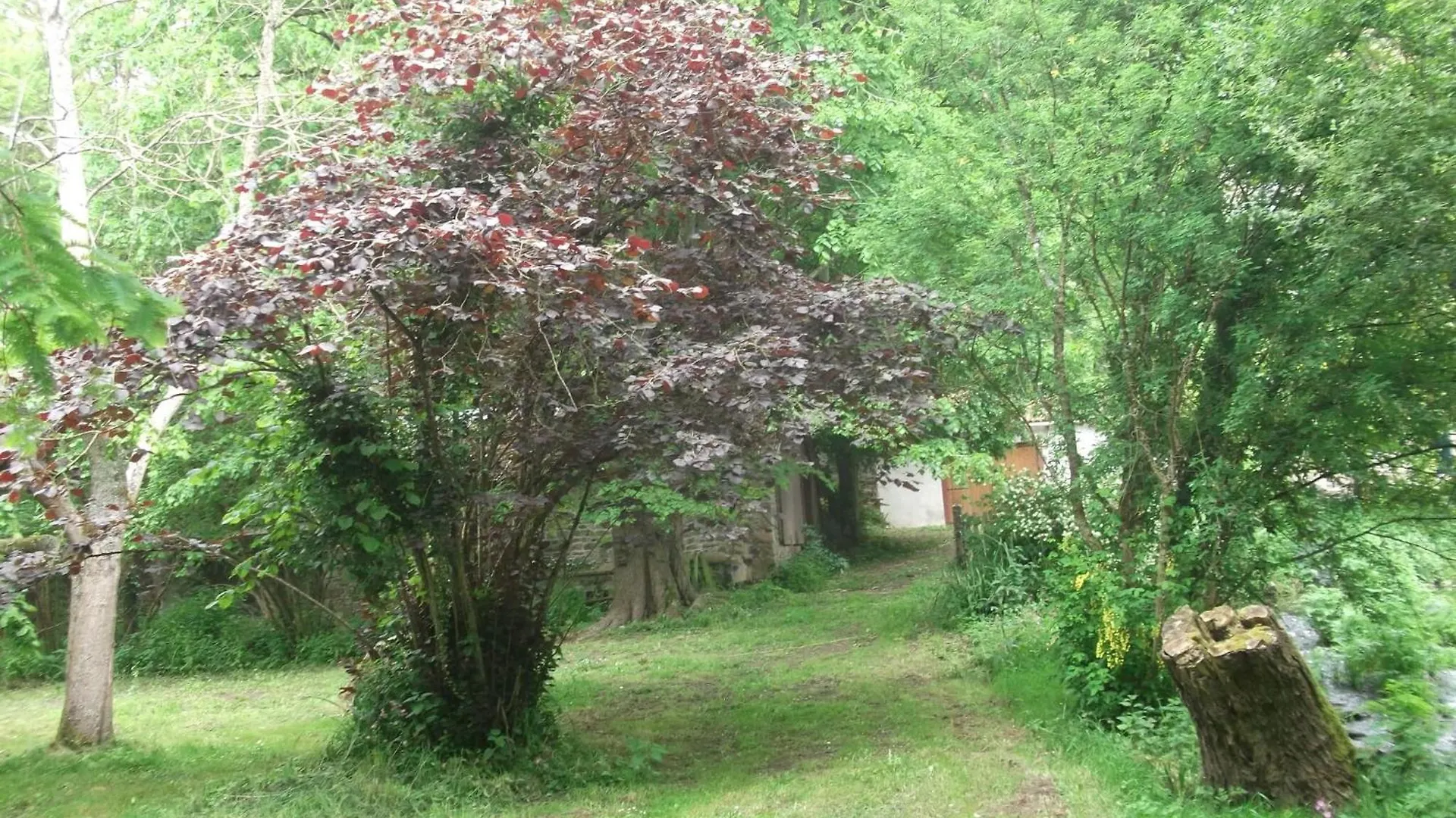 Superb Holiday Home With Private Garden, Cleaning Included Yvias 0*,